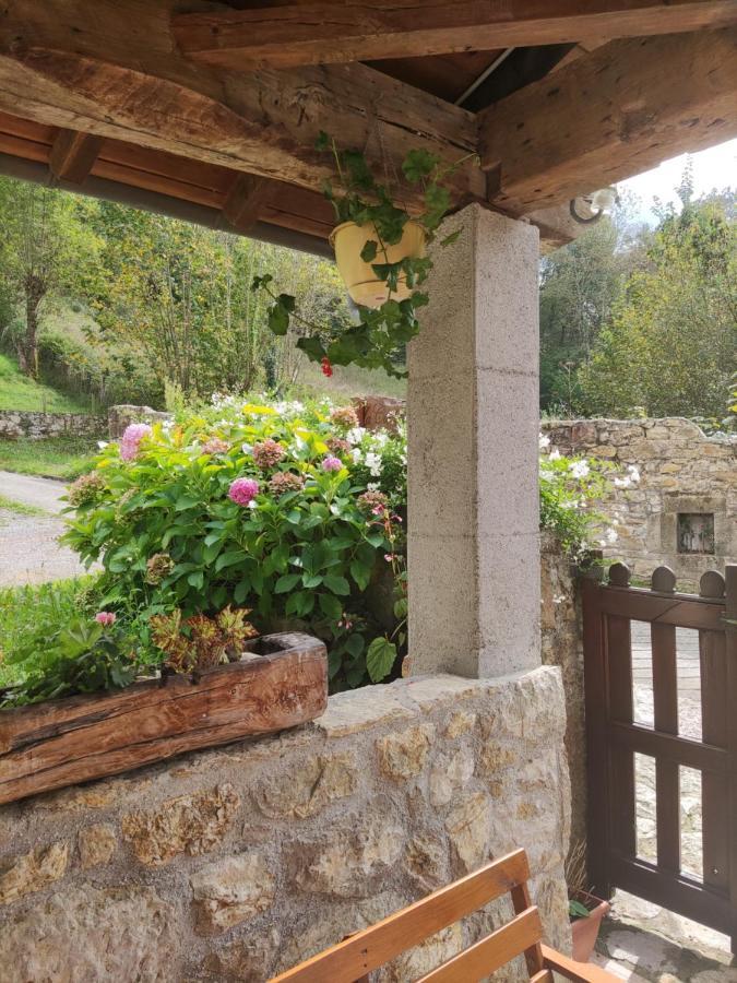 Apartamentos Rurales La Caviana Кангас-де-Оніс Екстер'єр фото
